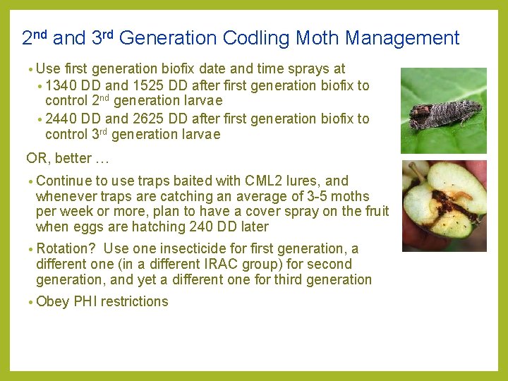 2 nd and 3 rd Generation Codling Moth Management • Use first generation biofix 2 nd and 3 rd Generation Codling Moth Management • Use first generation biofix
