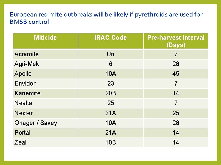 European red mite outbreaks will be likely if pyrethroids are used for BMSB control European red mite outbreaks will be likely if pyrethroids are used for BMSB control