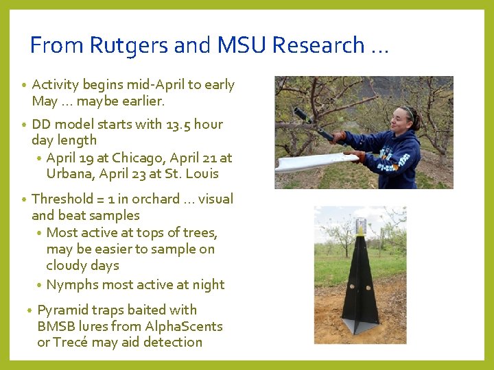 From Rutgers and MSU Research … • Activity begins mid-April to early May … From Rutgers and MSU Research … • Activity begins mid-April to early May …