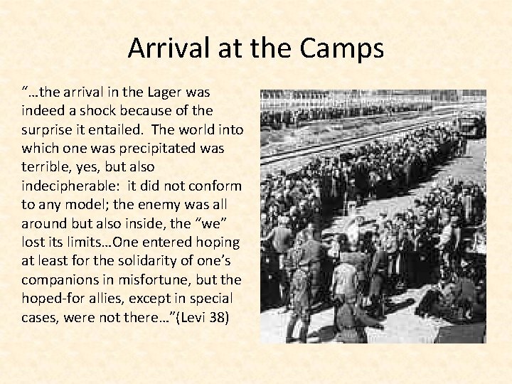 Arrival at the Camps “…the arrival in the Lager was indeed a shock because