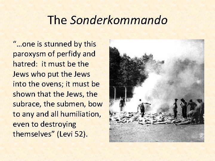 The Sonderkommando “…one is stunned by this paroxysm of perfidy and hatred: it must