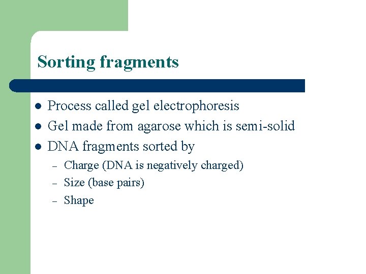 Sorting fragments l l l Process called gel electrophoresis Gel made from agarose which