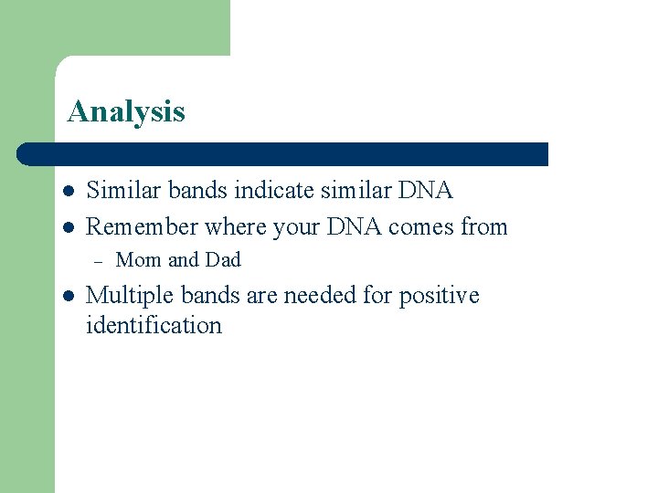 Analysis l l Similar bands indicate similar DNA Remember where your DNA comes from