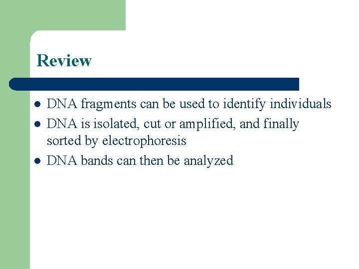 Review l l l DNA fragments can be used to identify individuals DNA is