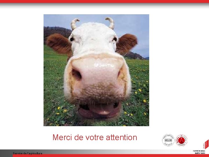 Merci de votre attention Service de l’agriculture 