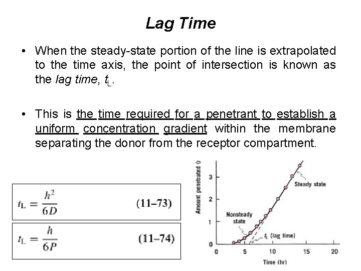 Lag Time • When the steady-state portion of the line is extrapolated to the
