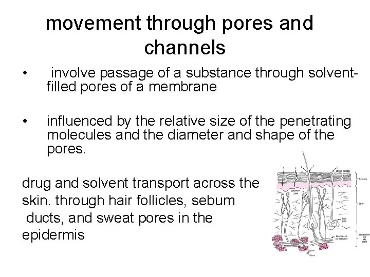 movement through pores and channels • involve passage of a substance through solventfilled pores