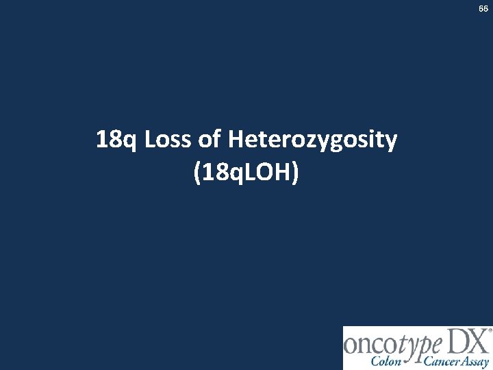 66 18 q Loss of Heterozygosity (18 q. LOH) 