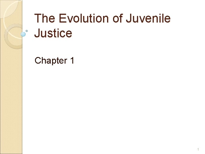 The Evolution of Juvenile Justice Chapter 1 1 