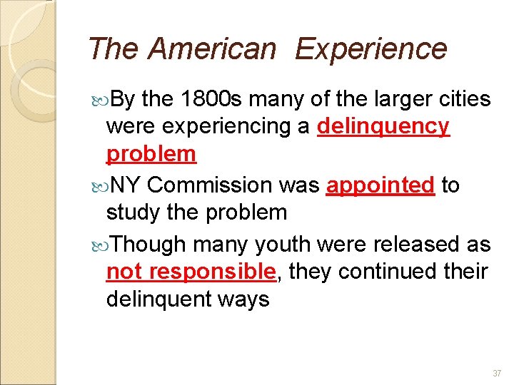 The American Experience By the 1800 s many of the larger cities were experiencing