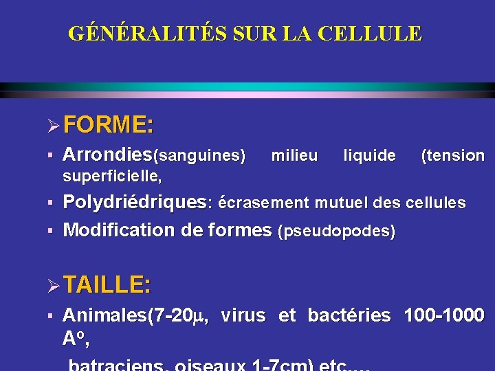 GÉNÉRALITÉS SUR LA CELLULE Ø FORME: § Arrondies(sanguines) milieu liquide (tension superficielle, § §