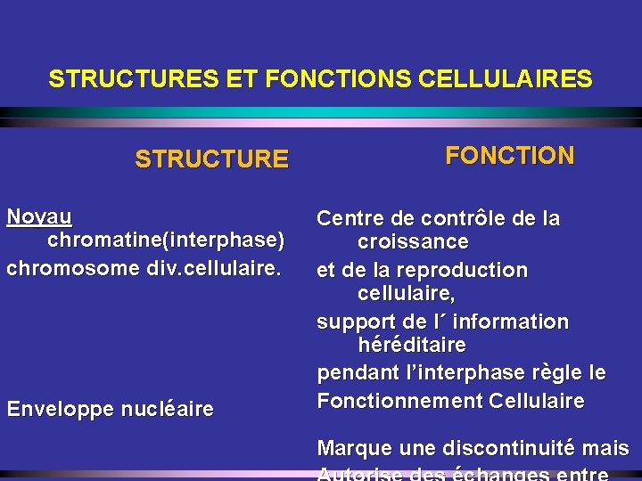 STRUCTURES ET FONCTIONS CELLULAIRES STRUCTURE Noyau chromatine(interphase) chromosome div. cellulaire. Enveloppe nucléaire FONCTION Centre