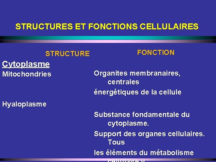 STRUCTURES ET FONCTIONS CELLULAIRES FONCTION STRUCTURE Cytoplasme Mitochondries Organites membranaires, centrales énergétiques de la