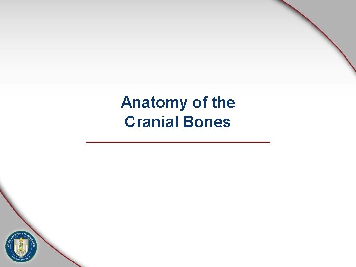 Anatomy of the Cranial Bones 