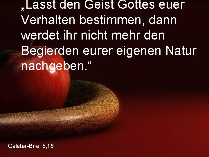 „Lasst den Geist Gottes euer Verhalten bestimmen, dann werdet ihr nicht mehr den Begierden