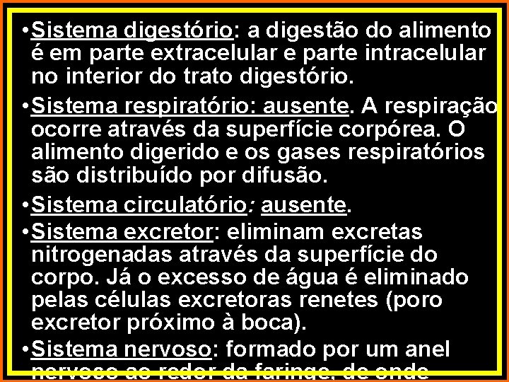  • Sistema digestório: a digestão do alimento é em parte extracelular e parte