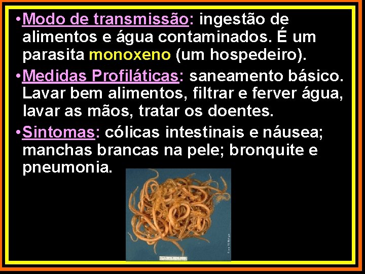  • Modo de transmissão: ingestão de alimentos e água contaminados. É um parasita