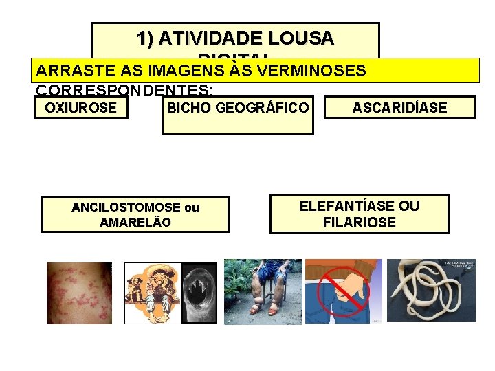 1) ATIVIDADE LOUSA DIGITAL ARRASTE AS IMAGENS ÀS VERMINOSES CORRESPONDENTES: OXIUROSE BICHO GEOGRÁFICO ANCILOSTOMOSE