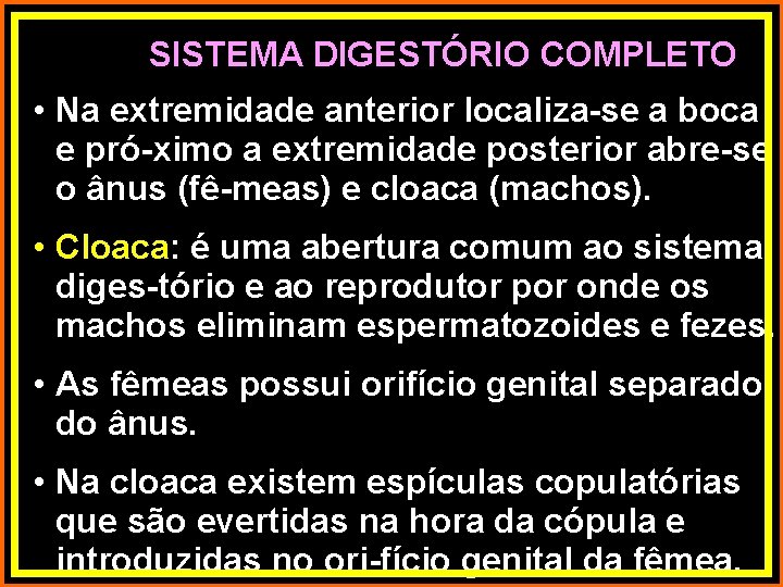 SISTEMA DIGESTÓRIO COMPLETO • Na extremidade anterior localiza-se a boca e pró-ximo a extremidade