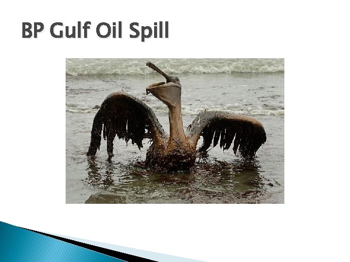 BP Gulf Oil Spill 