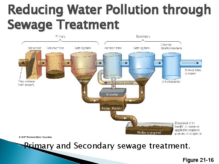 Reducing Water Pollution through Sewage Treatment Primary and Secondary sewage treatment. Figure 21 -16