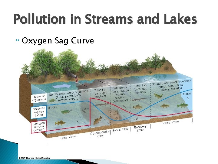 Pollution in Streams and Lakes Oxygen Sag Curve 