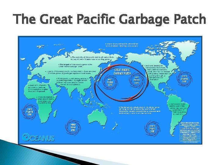 The Great Pacific Garbage Patch 