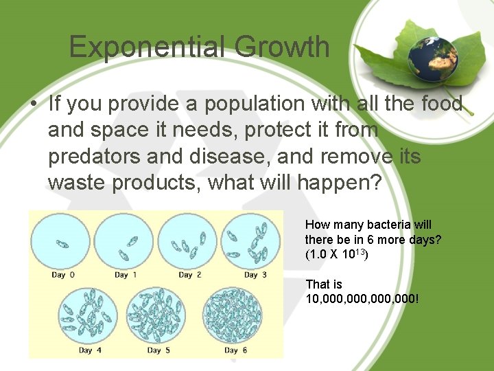 Exponential Growth • If you provide a population with all the food and space