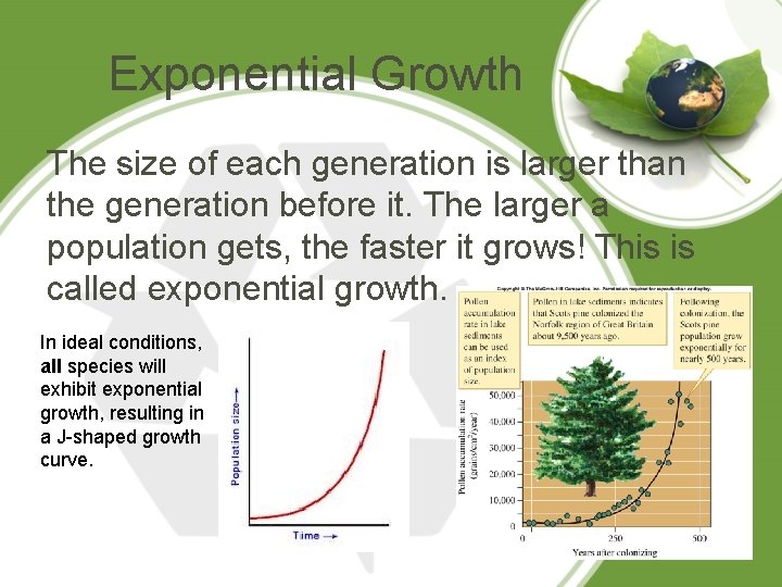 Exponential Growth The size of each generation is larger than the generation before it.