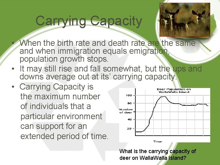 Carrying Capacity • When the birth rate and death rate are the same and