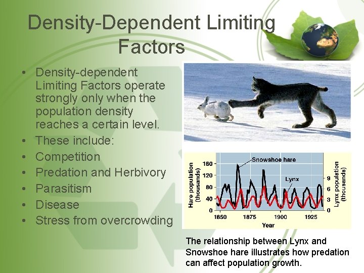 Density-Dependent Limiting Factors • Density-dependent Limiting Factors operate strongly only when the population density