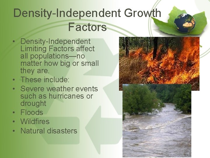 Density-Independent Growth Factors • Density-Independent Limiting Factors affect all populations—no matter how big or