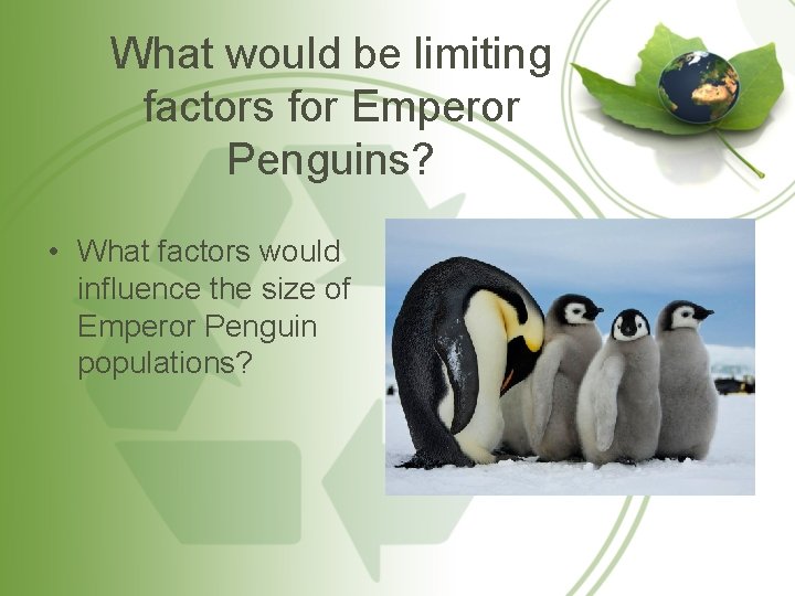 What would be limiting factors for Emperor Penguins? • What factors would influence the