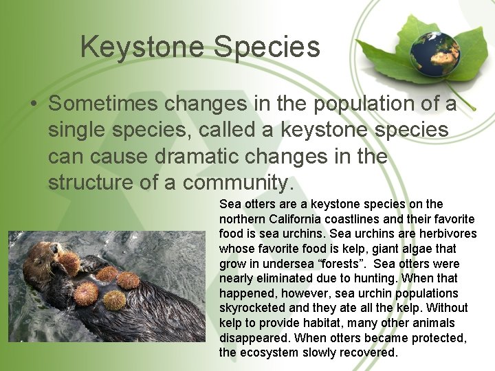 Keystone Species • Sometimes changes in the population of a single species, called a