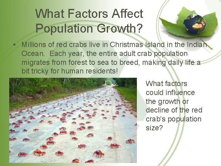 What Factors Affect Population Growth? • Millions of red crabs live in Christmas Island