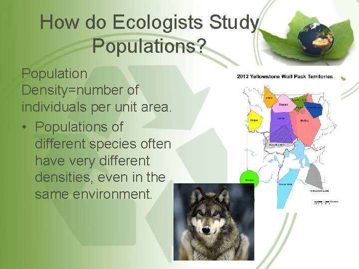 How do Ecologists Study Populations? Population Density=number of individuals per unit area. • Populations