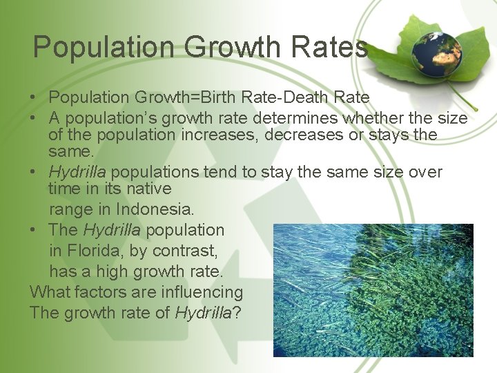 Population Growth Rates • Population Growth=Birth Rate-Death Rate • A population’s growth rate determines