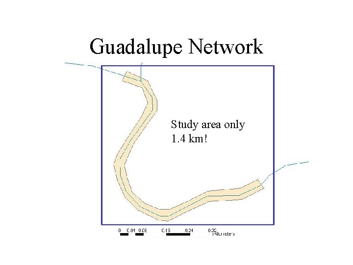 Guadalupe Network Study area only 1. 4 km! 