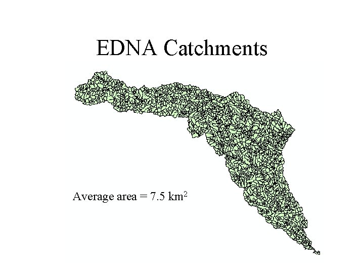 EDNA Catchments Average area = 7. 5 km 2 