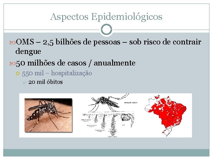 Aspectos Epidemiológicos OMS – 2, 5 bilhões de pessoas – sob risco de contrair