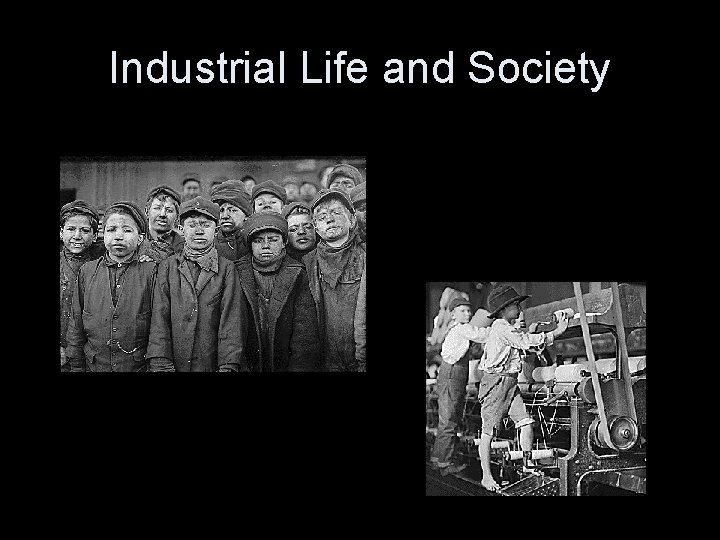 Industrial Life and Society 