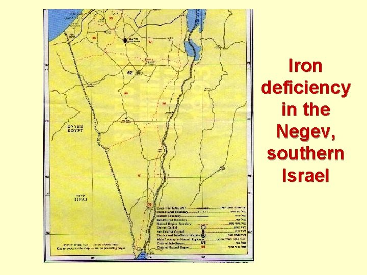 Iron deficiency in the Negev, southern Israel 