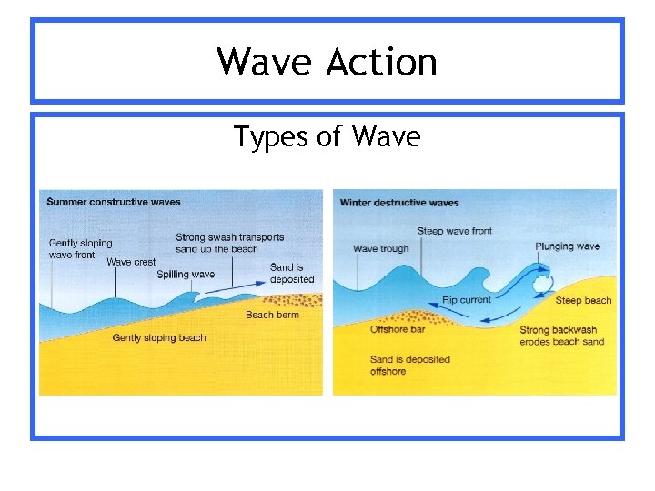 Wave Action Types of Wave 
