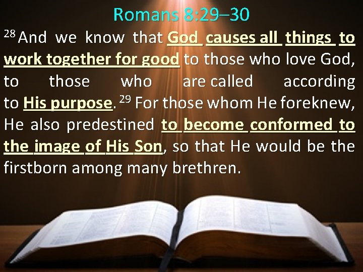 Romans 8: 29– 30 28 And we know that God causes all things to