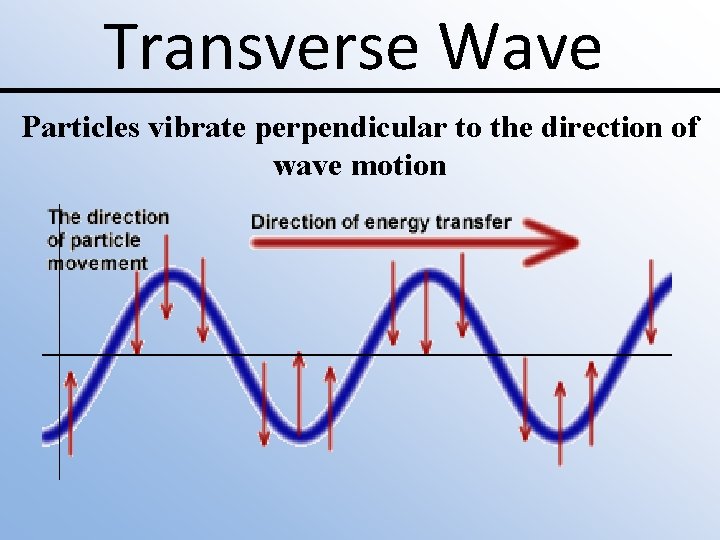 Transverse Wave Particles vibrate perpendicular to the direction of wave motion 