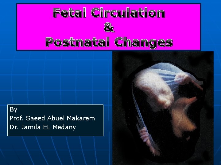 Fetal Circulation & Postnatal Changes By Prof. Saeed Abuel Makarem Dr. Jamila EL Medany