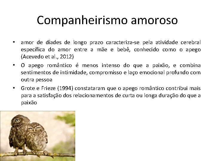 Companheirismo amoroso • amor de díades de longo prazo caracteriza-se pela atividade cerebral específica