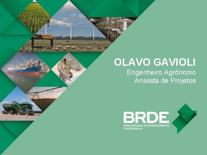 OLAVO GAVIOLI Engenheiro Agrônomo Analista de Projetos 