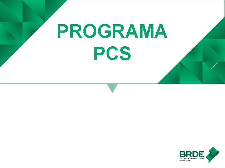 PROGRAMA PCS 