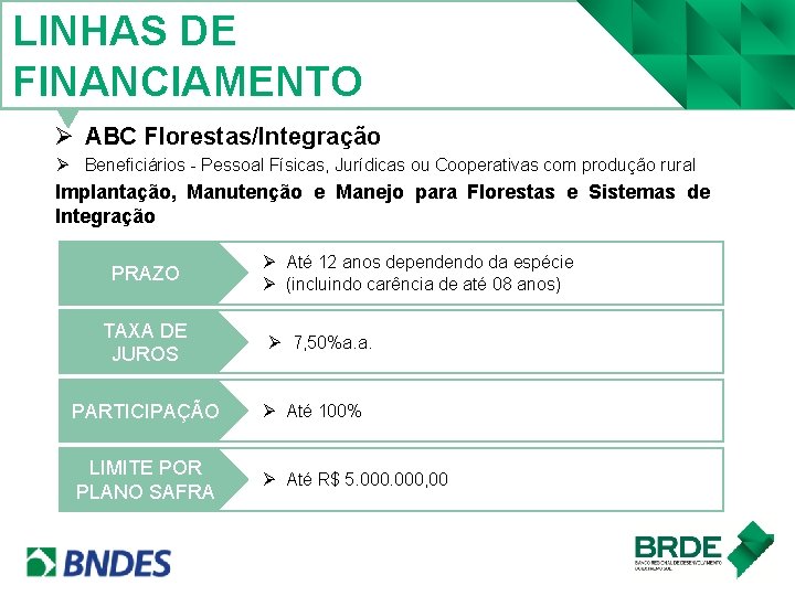 LINHAS DE FINANCIAMENTO Ø ABC Florestas/Integração Ø Beneficiários - Pessoal Físicas, Jurídicas ou Cooperativas